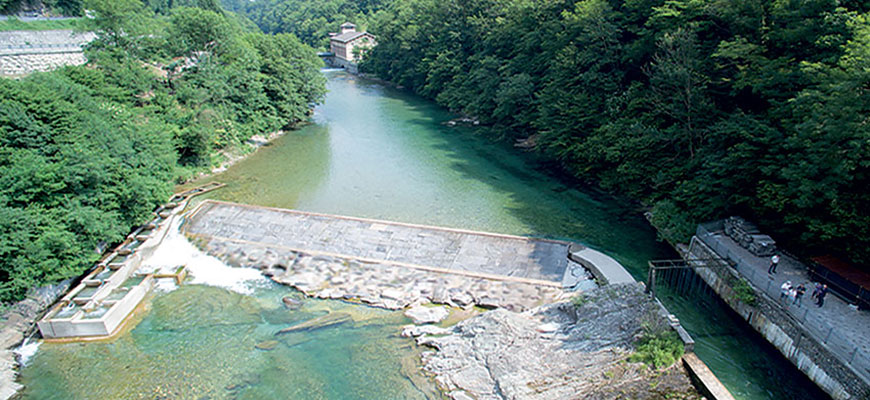 Qualità, Ambiente e Sicurezza