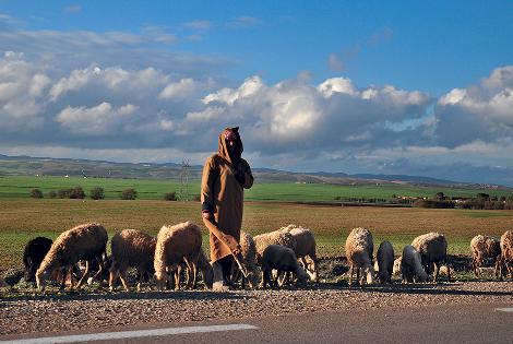 Tousnina Sarl - Algeria