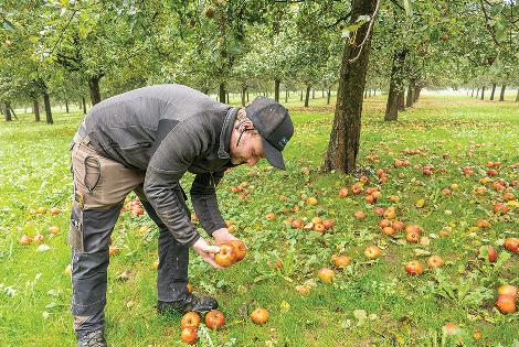 Switzerland: Holderhof Produkte