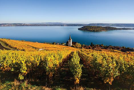 Switzerland: Holderhof Produkte