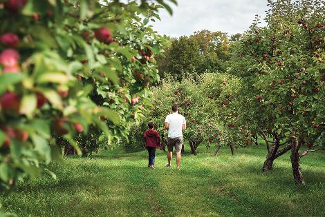Switzerland: Holderhof Produkte