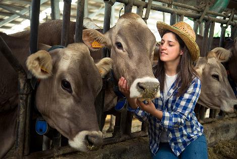 Italy: Latteria Sociale Valtellina