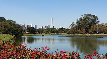 Brazil: Fonte Platina