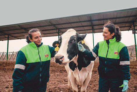 Espagne : Leche Pascual