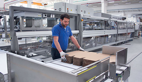 Cardboard multipack sleevers with in-line infeed